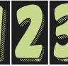 7 1/2″ Chartreuse & Black Windshield Numbers
